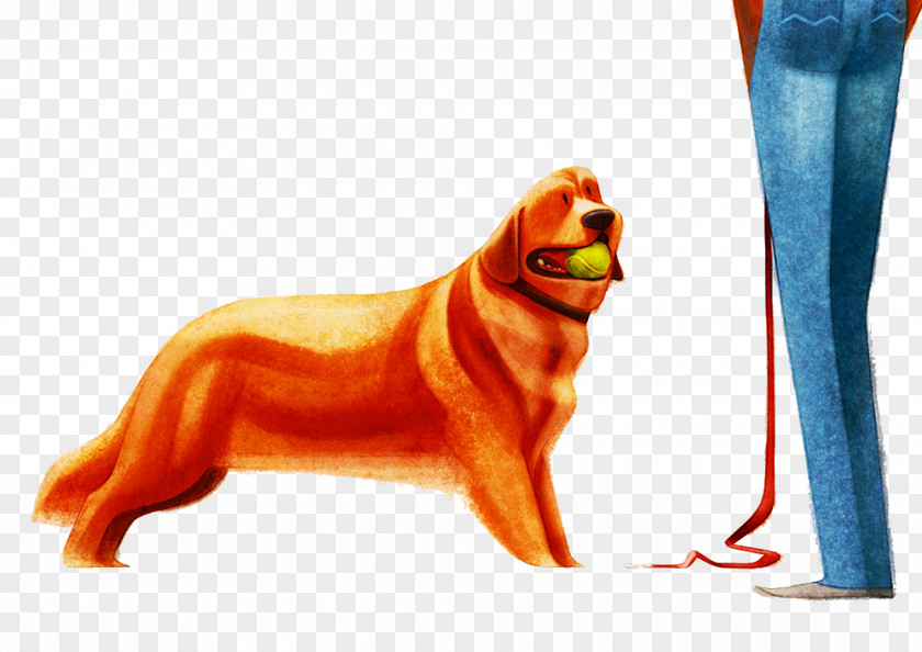 Yellow Dog Drawing Behance Illustrator Illustration PNG
