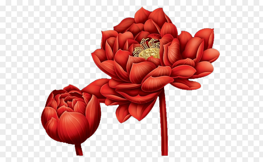 Blood Red Lotus Garden Roses Illustration PNG