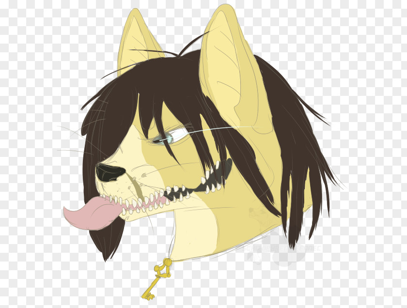 Cat Whiskers Dog Canidae Snout PNG