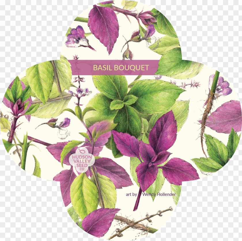 Loose-leaf Seed Company Basil Herb Library PNG