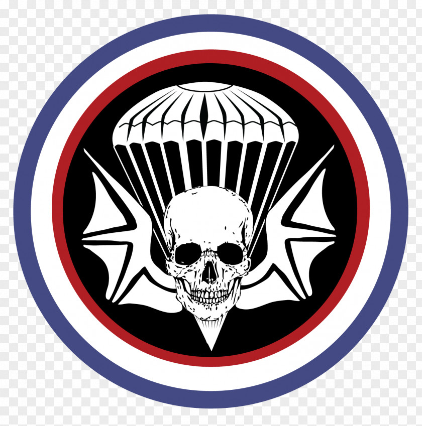 Parachute 502nd Infantry Regiment 101st Airborne Division Forces 501st PNG