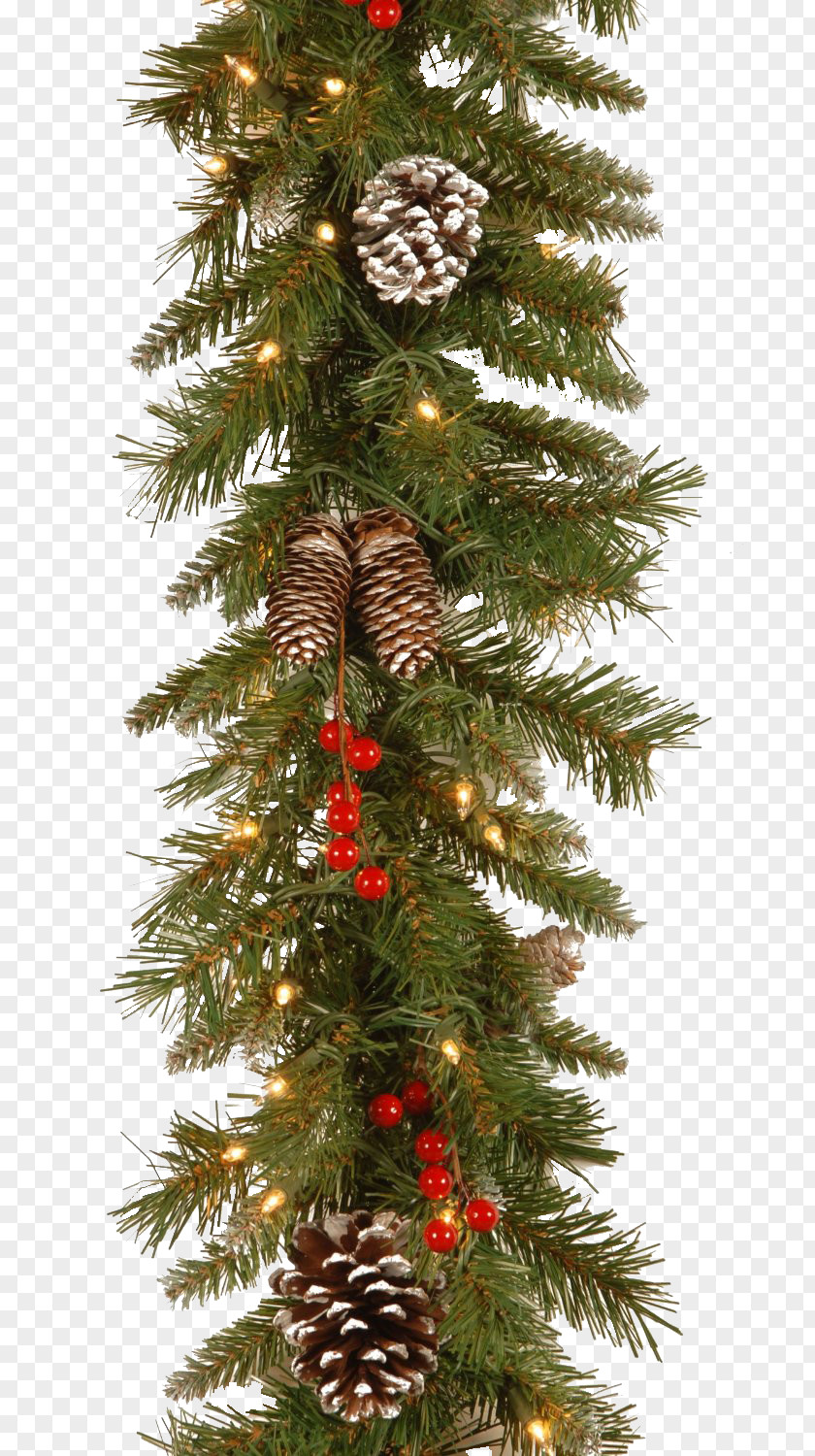 Pinheiro Christmas Tree Lights Garland Ornament PNG