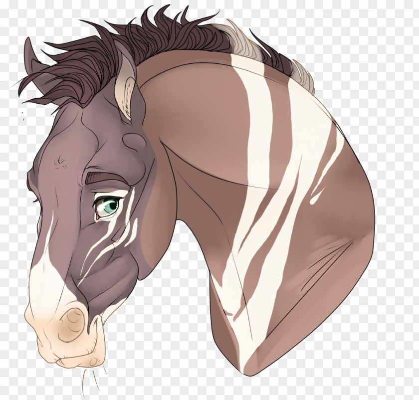 Quiet Night Mane Mustang Halter Stallion Rein PNG