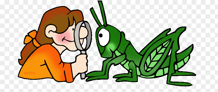 Science Animal Clip Art PNG