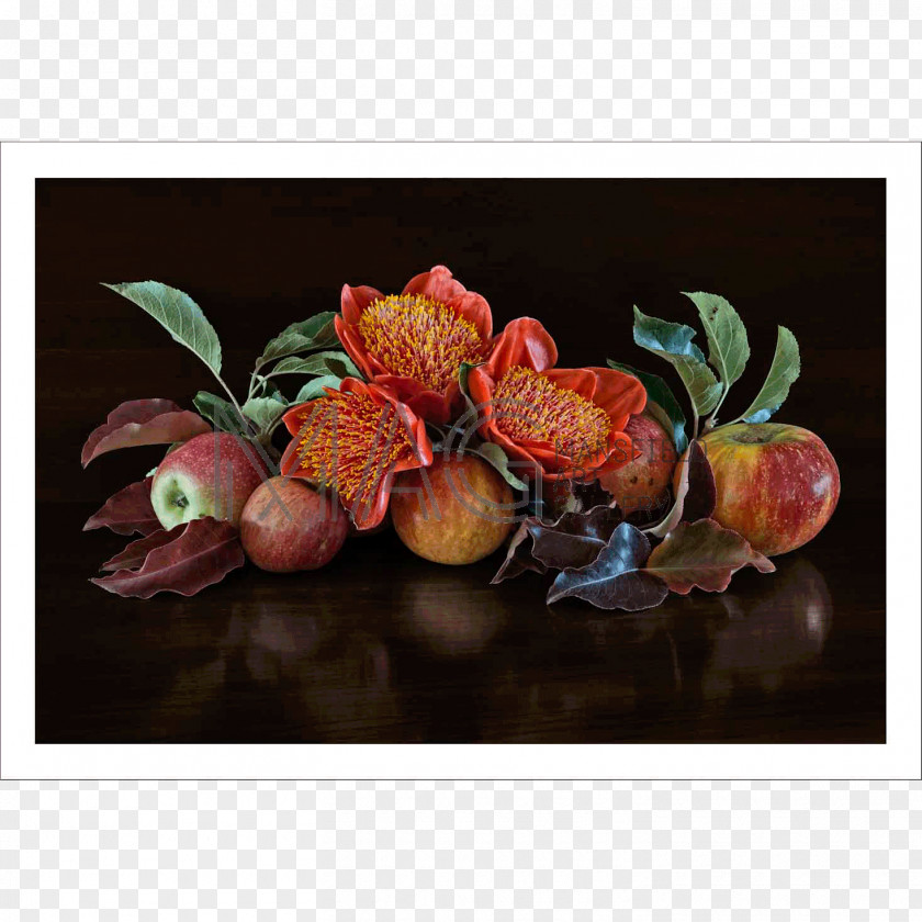 Still Life With Lemons Oranges And A Rose Photography PNG