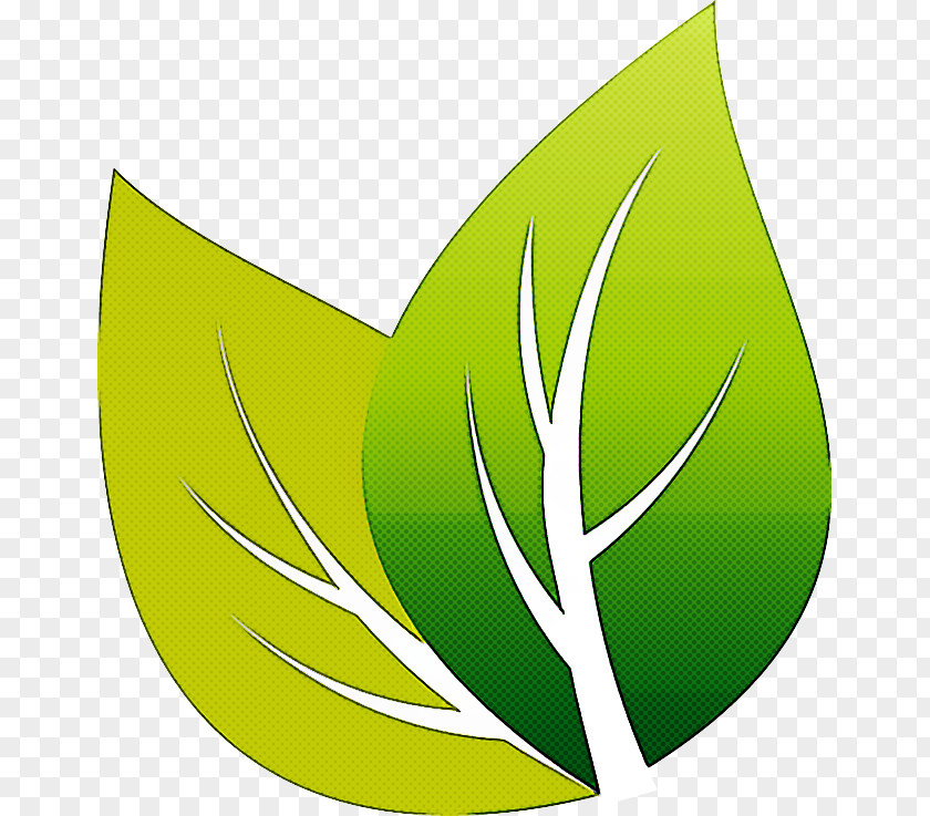 Symbol Plant Green Leaf Logo Clip Art PNG