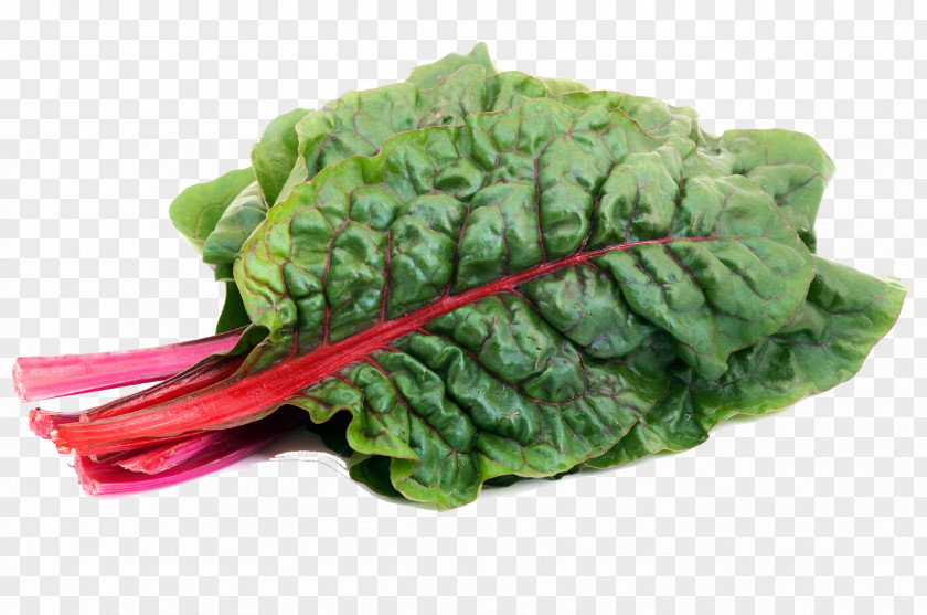 Vegetable Romaine Lettuce Chard Spinach Collard Greens PNG