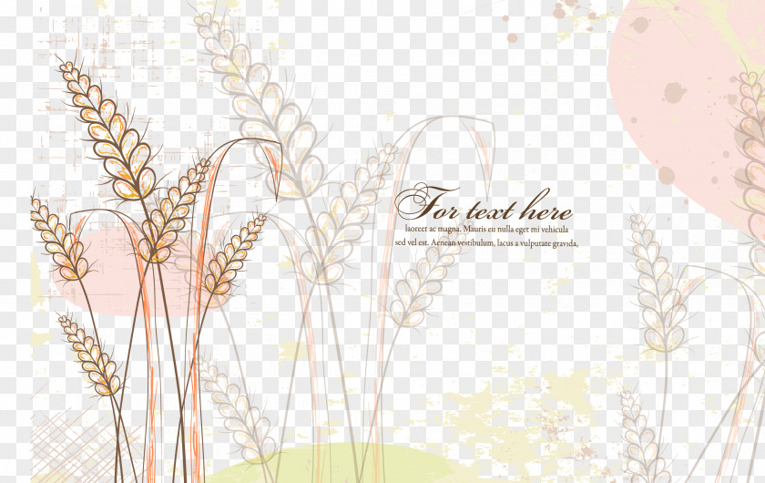 Wheat Background Download Flower PNG