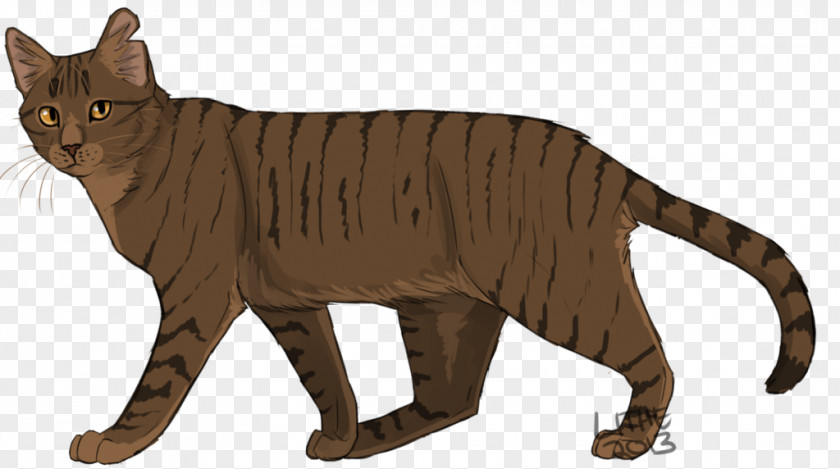 Cat Whiskers Tiger Timberfur Spottedleaf PNG