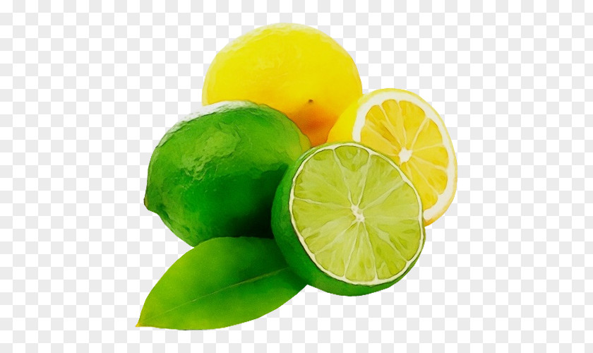 Citric Acid Green Lime Citrus Persian Key Lemon PNG