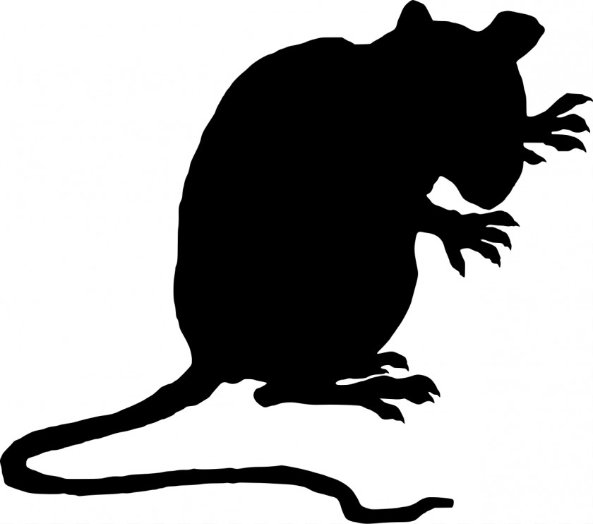 Evil Rat Cliparts Brown Black Laboratory Mouse Clip Art PNG