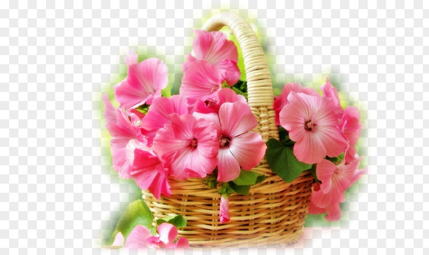 Flower Morning Animaatio Yandex Search PNG