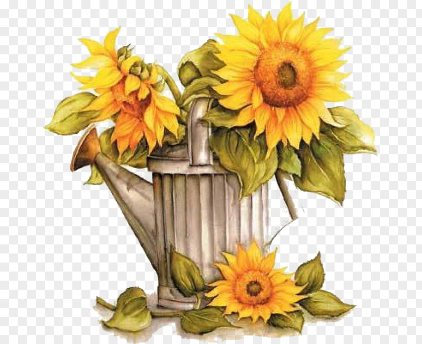 Flower Watering Cans Common Sunflower Garden Clip Art PNG