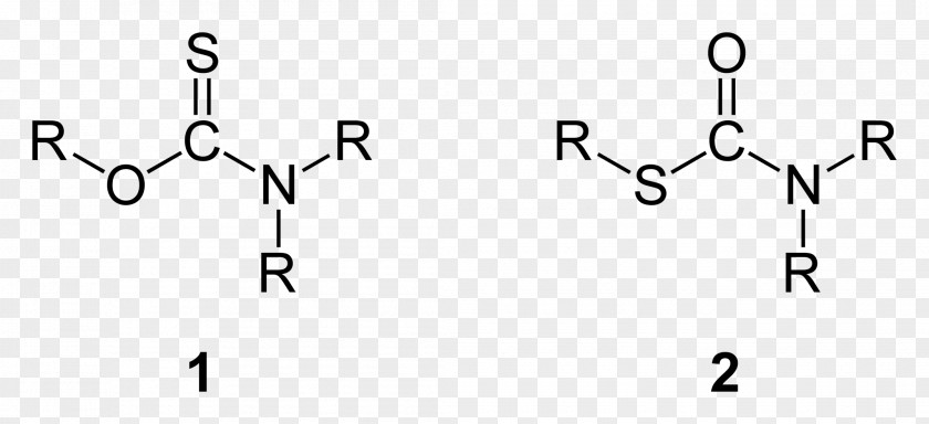 Peptide Bond Thiocarbamate Amino Acid Chemical PNG