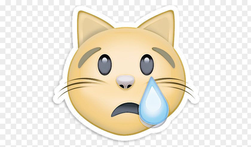 Persian Cat Kitten Dog Grumpy Emoji PNG