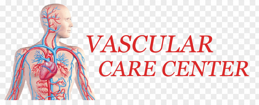 Vascular Surgery Endovascular Medicine Varicose Veins PNG