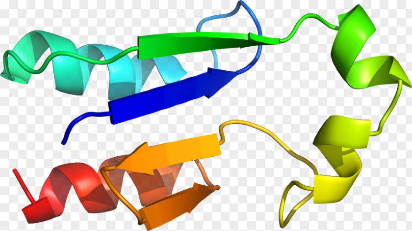 Design Plastic Clip Art PNG