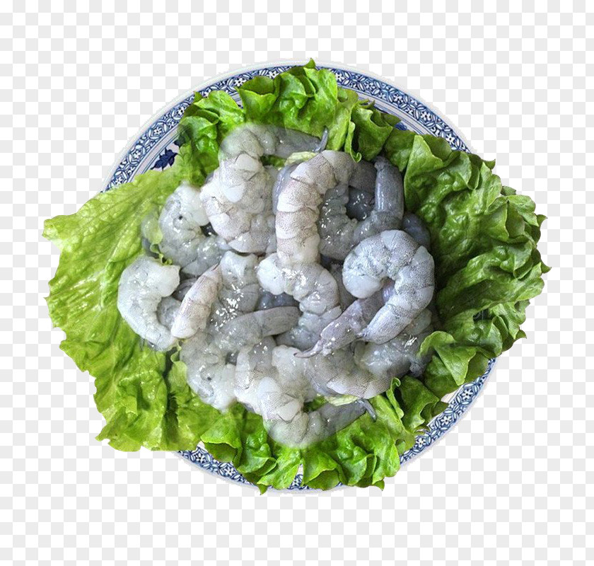 East Lyophilized Frozen Seafood Wild Hot Pot Shabu-shabu Food PNG