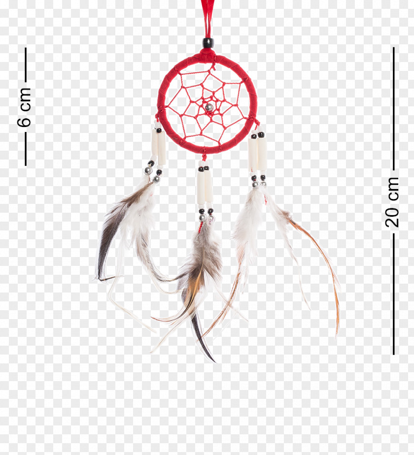 Feather Dreamcatcher Neck Moonlight PNG