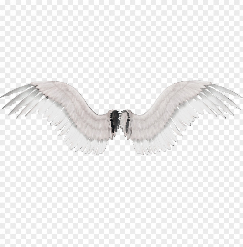 Fictional Character Fashion Accessory Feather PNG