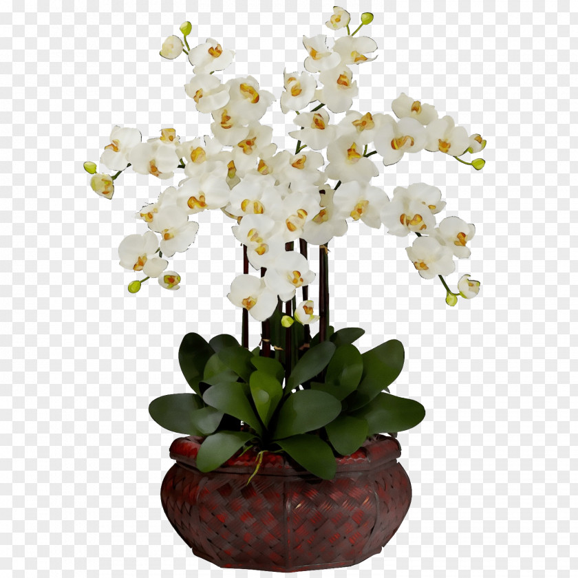 Houseplant Artificial Flower PNG