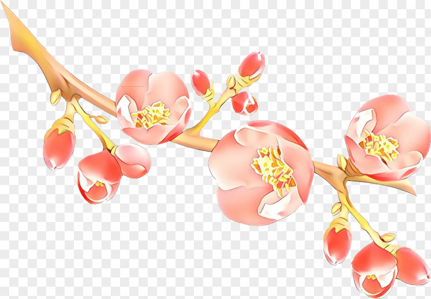 Moth Orchid Nail Artificial Flower PNG