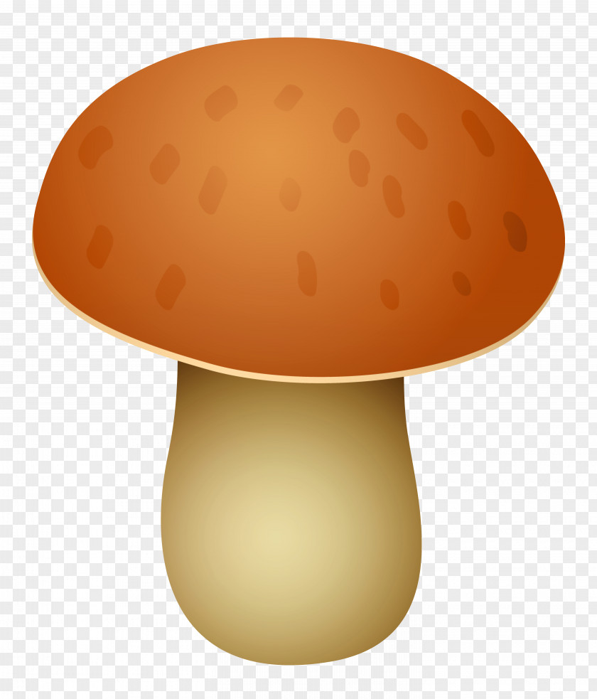Mushroom Boletus Edulis Edible Clip Art PNG