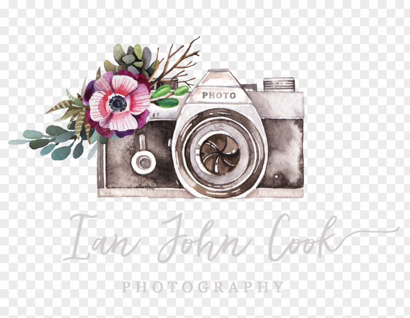 Photographer The Portrait Lady Photography Logo Photographic Studio PNG