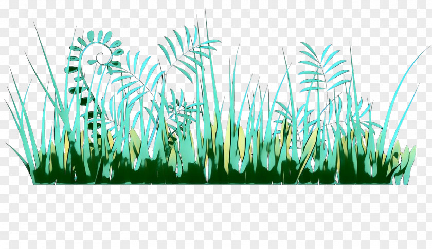 Phragmites Terrestrial Plant Green Grass Background PNG