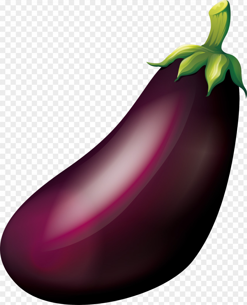 Purple Eggplant Fruit PNG
