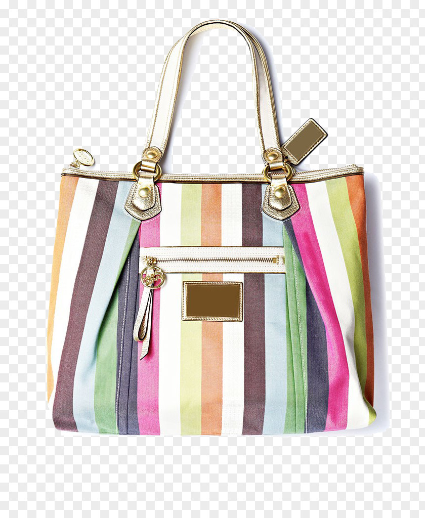 Striped Women Bag Tote Handbag Zipper PNG