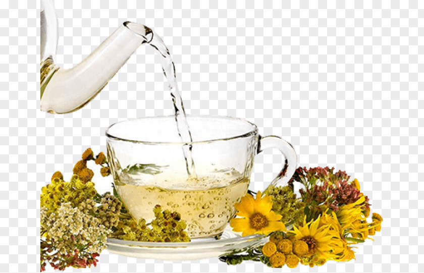 Tea Flowering Vegetarian Cuisine Orange Blossom عرقیات PNG