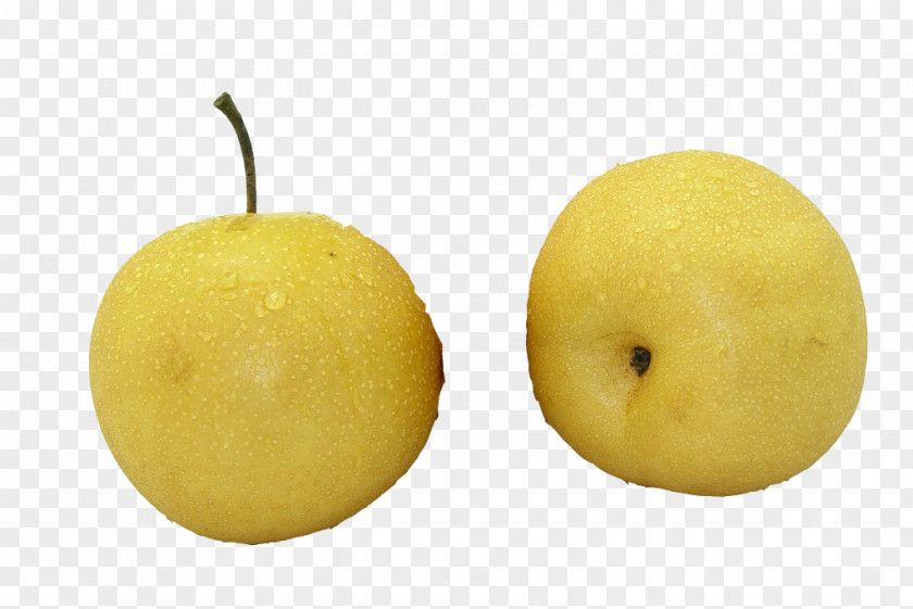 Two Pear Sweet Lemon Citron Citrus Junos Asian PNG