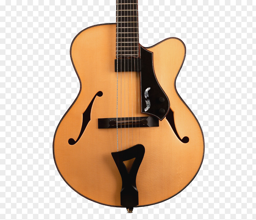 Acoustic Guitar Electric Bass Cuatro Tiple PNG