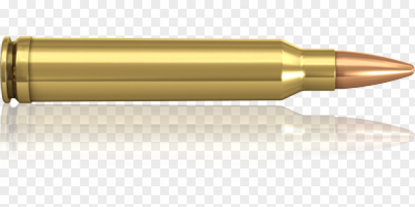 Ammunition Bullet .300 Winchester Magnum 9.3×62mm Caliber .270 PNG