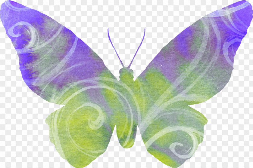 Animal Watercolor Butterfly Desktop Wallpaper Clip Art PNG