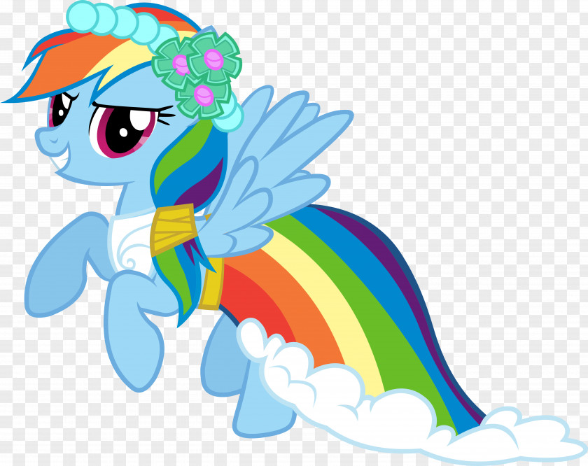 Rainbow Dash Applejack Twilight Sparkle Pony Rarity PNG