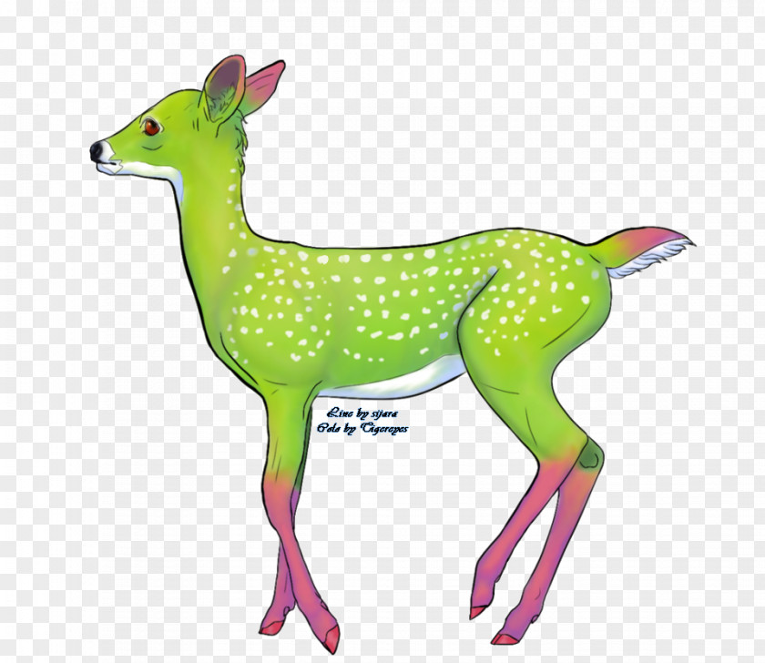Reindeer Giraffe Gazelle Antler Clip Art PNG