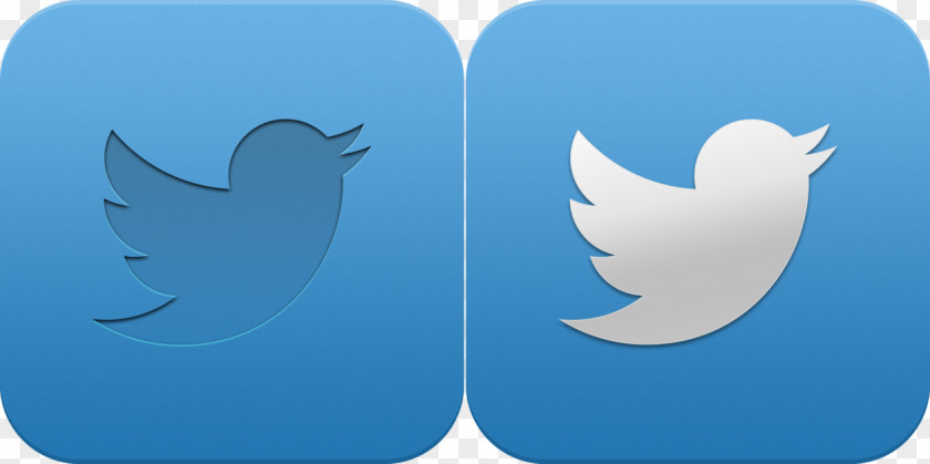 Twitter Social Media Marketing Logo Organization PNG