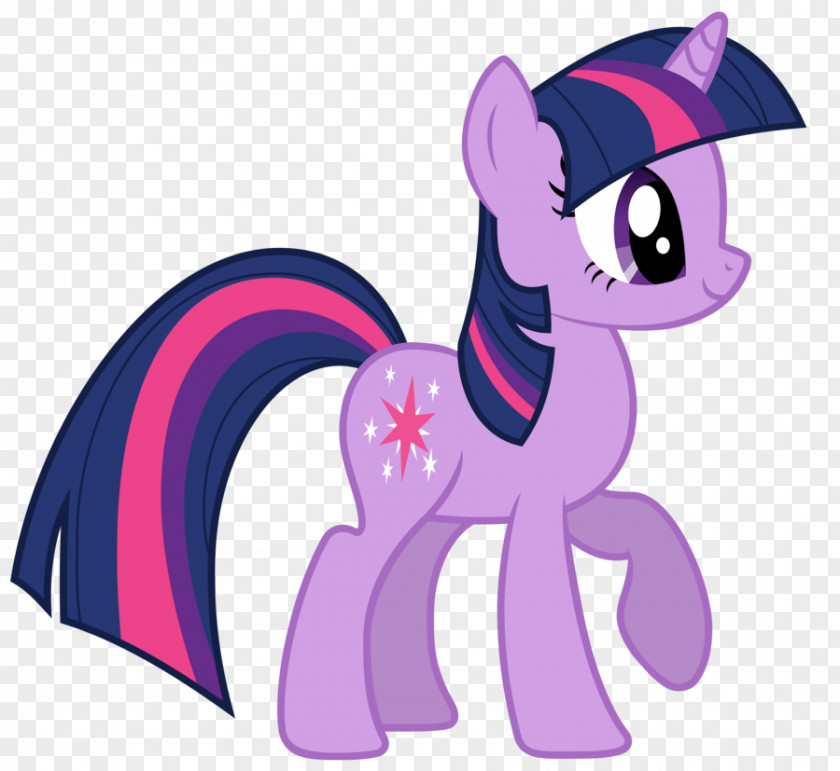Unicorn Head Twilight Sparkle Rarity Rainbow Dash Pinkie Pie My Little Pony PNG