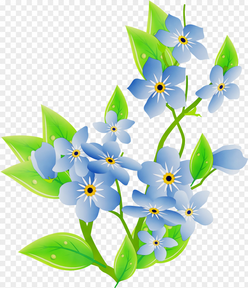 Borage Family Wildflower Flower Plant Petal Forget-me-not Ixia PNG