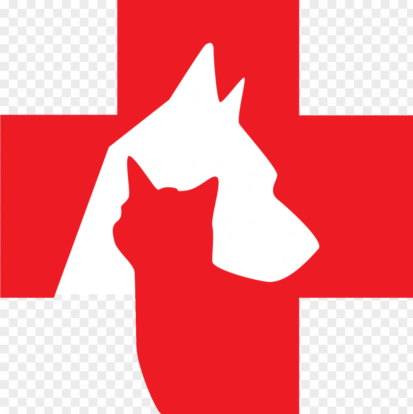 Cat The Oaks Veterinary Medical & Emergency Referral Centre Whiskers Veterinarian Dog PNG