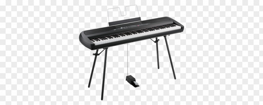 Digital Electronic Products Korg SP-280 Keyboard Piano B1 PNG