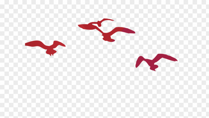 Flying Bird Silhouette PNG