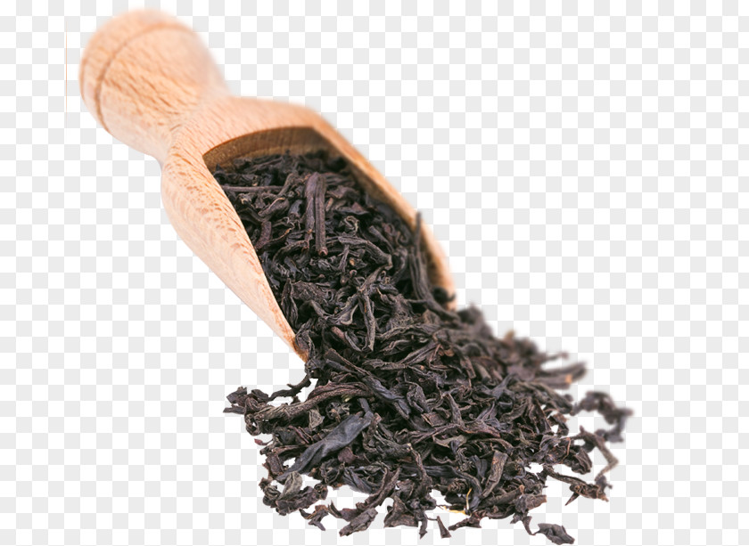 Mohsen Gheytaslou Nilgiri Tea Da Hong Pao Black Video PNG