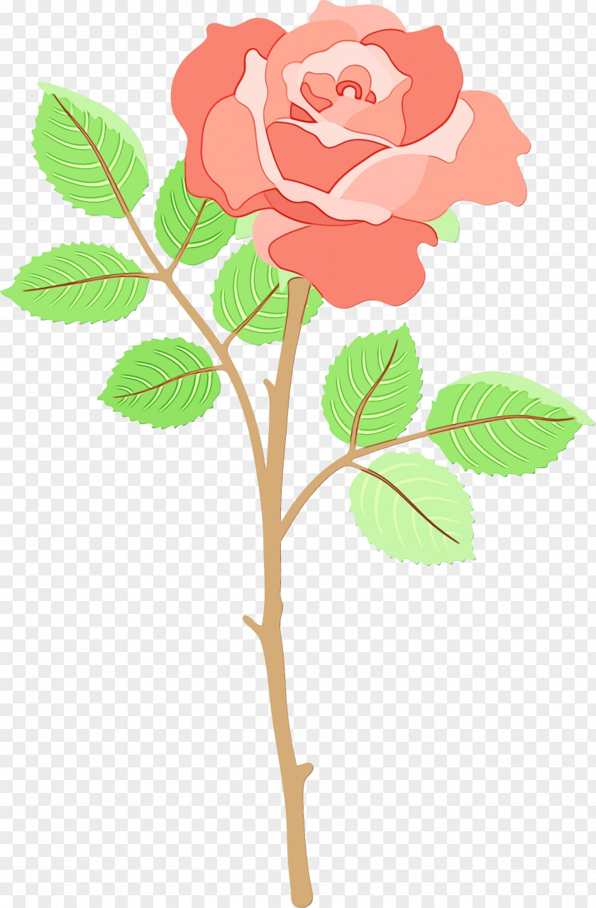 Clip Art Garden Roses Flower Image PNG