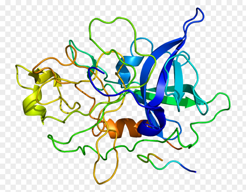 Urokinase Tissue Plasminogen Activator Fibrinolysis PNG