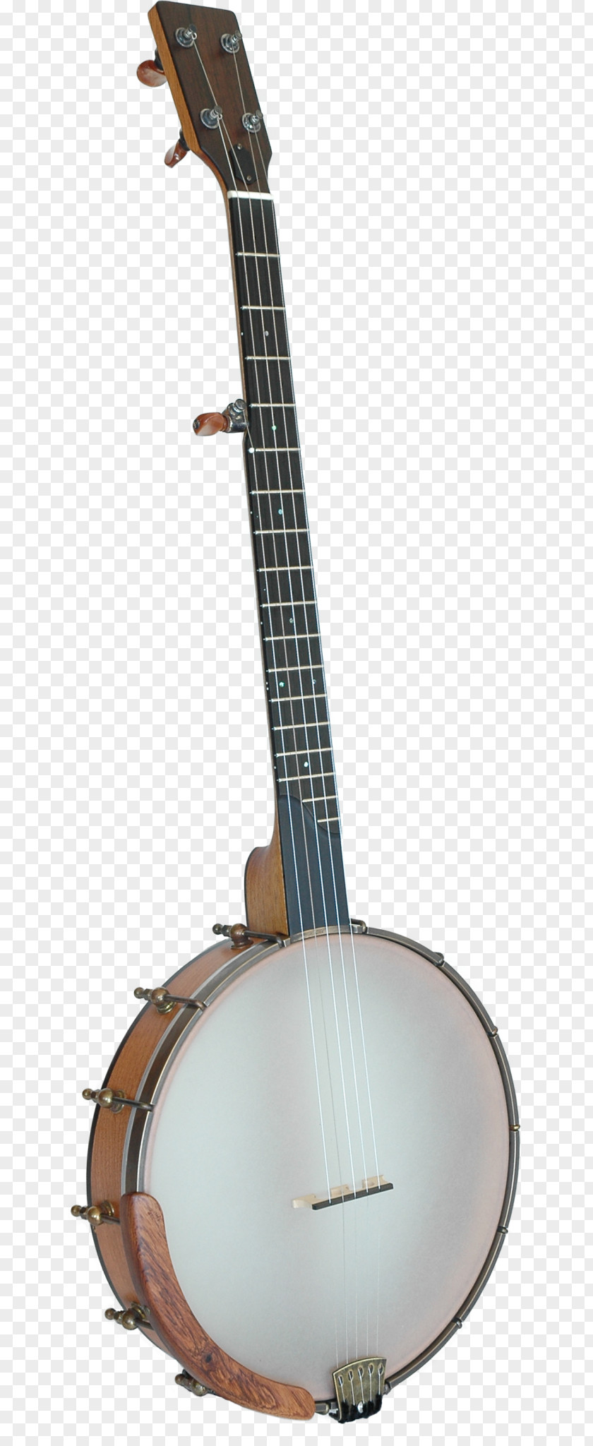 Banjo Musical Instruments String Guitar Picks PNG