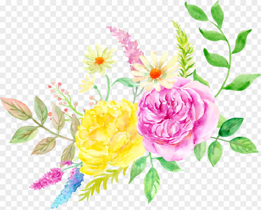 Elegant Watercolor Flowers Garden Roses Centifolia Painting Floral Design Flower PNG