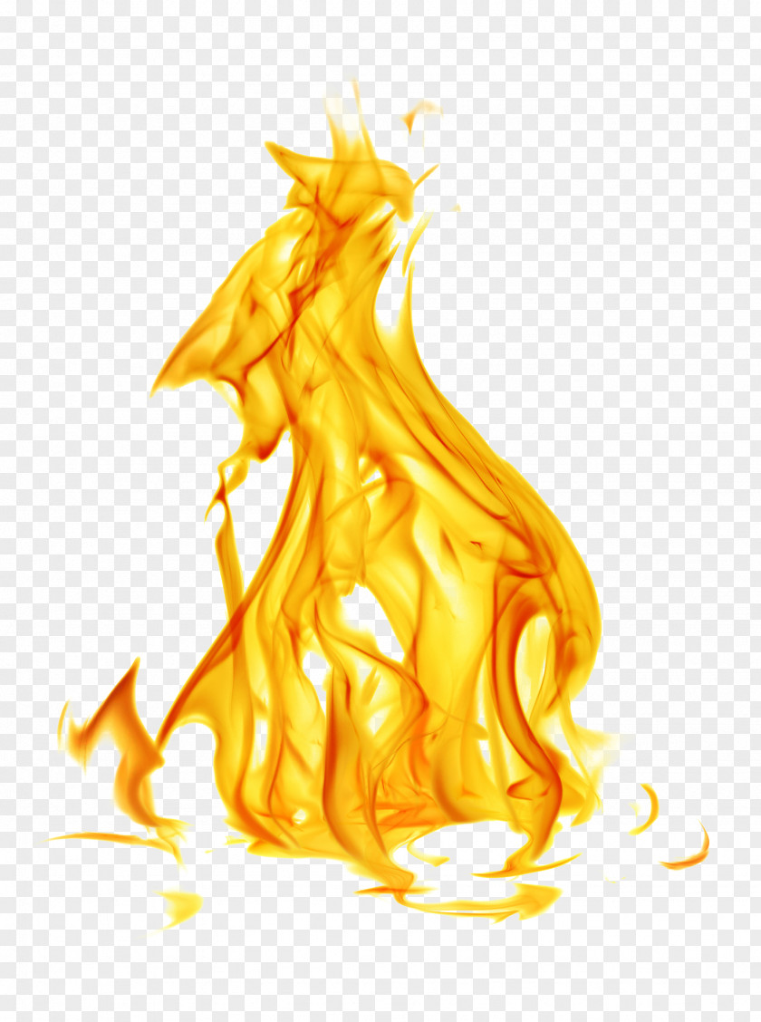 Golden Flame Euclidean Vector Shutterstock PNG